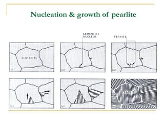 Nucleation & growth of pearlite
 