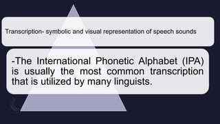 Transcription- symbolic and visual representation of speech sounds
-The International Phonetic Alphabet (IPA)
is usually the most common transcription
that is utilized by many linguists.
 