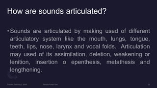 How are sounds articulated?
 