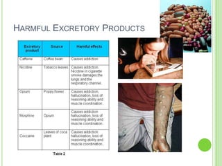 HARMFUL EXCRETORY PRODUCTS
 