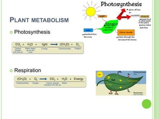 PLANT METABOLISM
   Photosynthesis




   Respiration
 