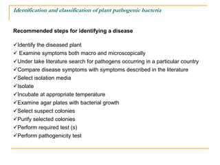 Identification and classification of plant pathogenic bacteria
Recommended steps for identifying a disease
Identify the d...
