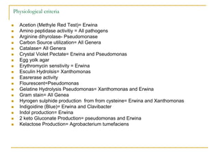 Physiological criteria
 Acetion (Methyle Red Test)= Erwina
 Amino peptidase activitiy = All pathogens
 Arginine dihyrol...