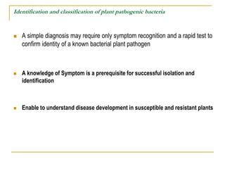 Identification and classification of plant pathogenic bacteria
 A simple diagnosis may require only symptom recognition a...