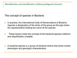 Identification and classification of plant pathogenic bacteria
The concept of species in Bacteria
 In practice, the Inter...