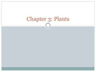 Chapter 3: Plants
 