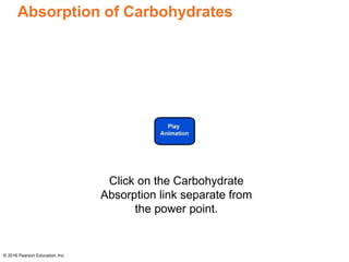 Absorption of Carbohydrates
© 2016 Pearson Education, Inc.
Click on the Carbohydrate
Absorption link separate from
the power point.
 