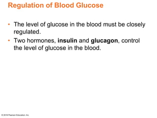 Regulation of Blood Glucose
• The level of glucose in the blood must be closely
regulated.
• Two hormones, insulin and glucagon, control
the level of glucose in the blood.
© 2016 Pearson Education, Inc.
 