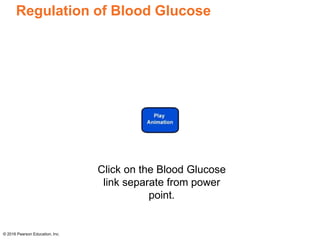 Regulation of Blood Glucose
© 2016 Pearson Education, Inc.
Click on the Blood Glucose
link separate from power
point.
 