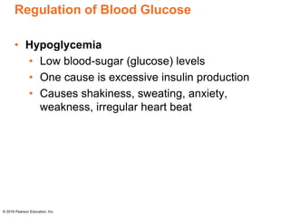 Regulation of Blood Glucose
• Hypoglycemia
• Low blood-sugar (glucose) levels
• One cause is excessive insulin production
• Causes shakiness, sweating, anxiety,
weakness, irregular heart beat
© 2016 Pearson Education, Inc.
 