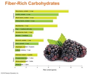 Fiber-Rich Carbohydrates
© 2016 Pearson Education, Inc.
 