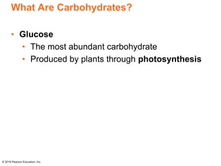 What Are Carbohydrates?
• Glucose
• The most abundant carbohydrate
• Produced by plants through photosynthesis
© 2016 Pearson Education, Inc.
 
