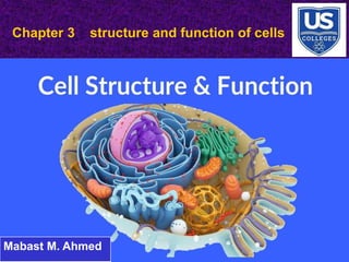 Chapter 3 structure and function of cells
Mabast M. Ahmed
 
