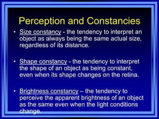 Perception and Constancies
• Size constancy - the tendency to interpret an
  object as always being the same actual size,
  regardless of its distance.

• Shape constancy - the tendency to interpret
  the shape of an object as being constant,
  even when its shape changes on the retina.

• Brightness constancy – the tendency to
  perceive the apparent brightness of an object
  as the same even when the light conditions
  change.
 