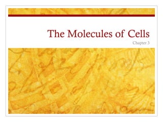 The Molecules of Cells
                  Chapter 3
 