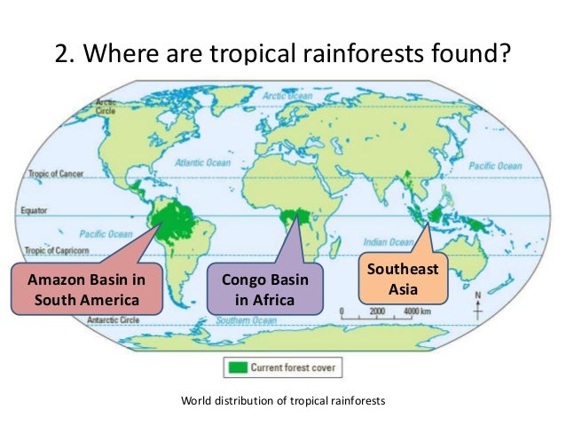 Sec 1 Chapter 3 Tropical Rainforests