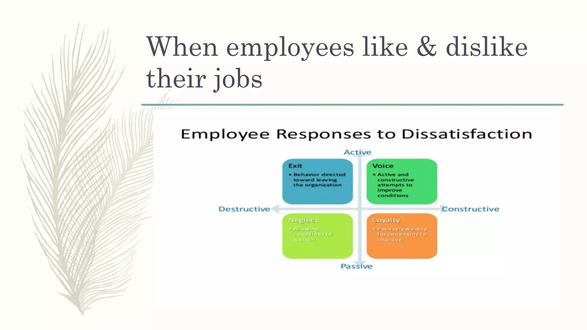 When employees like & dislike
their jobs
 