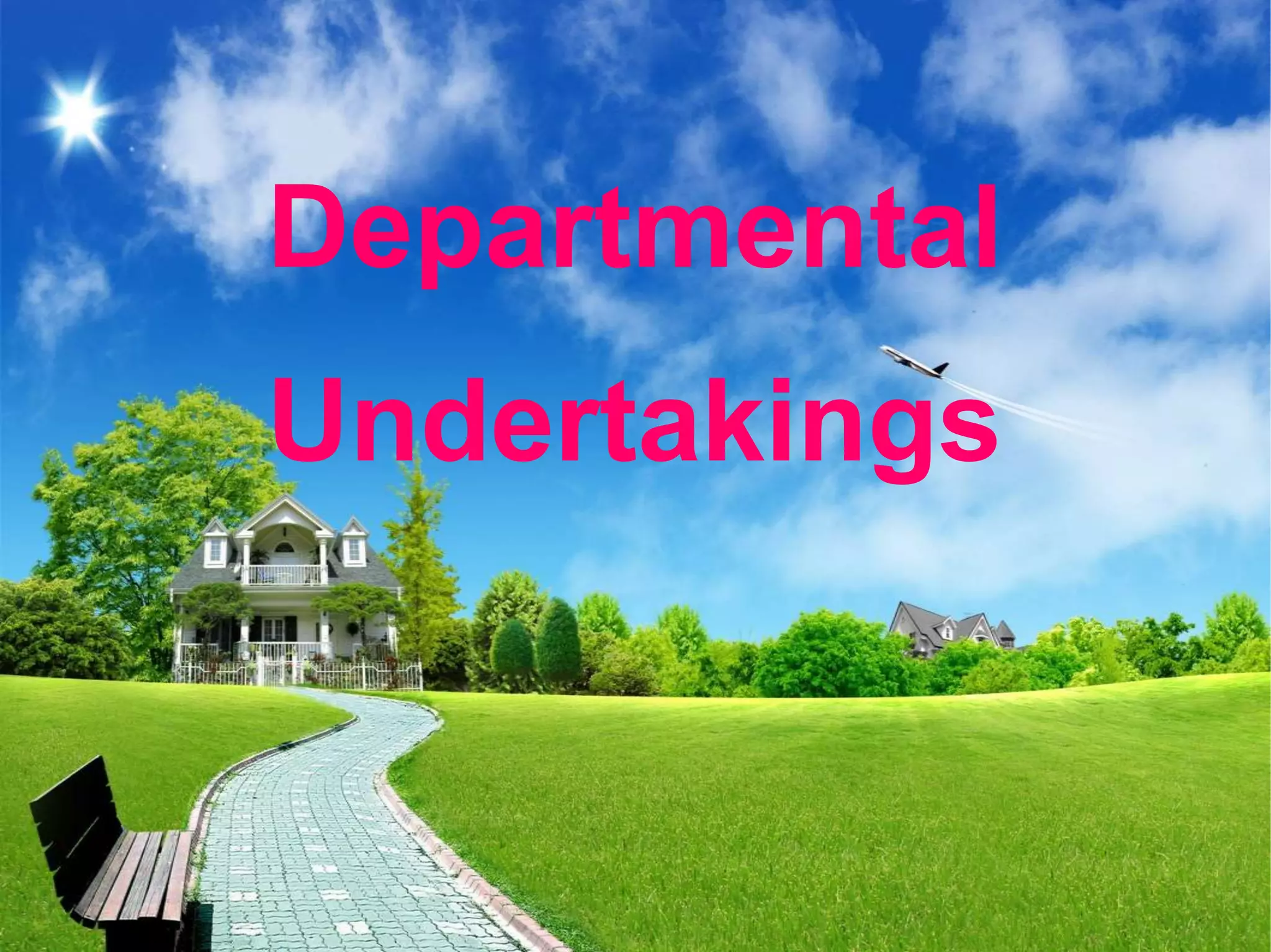 Departmental
Undertakings
 