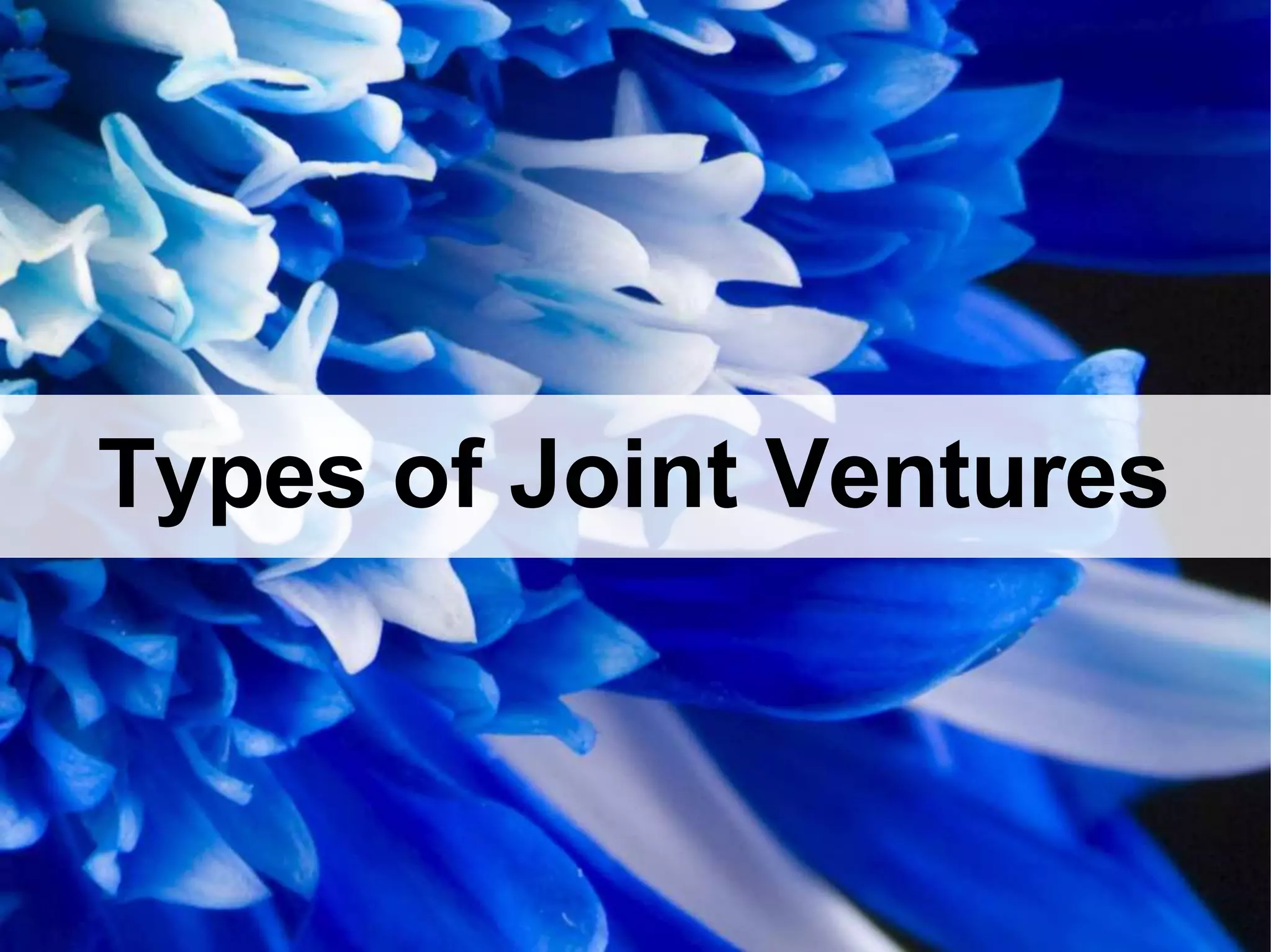 Types of Joint Ventures
 