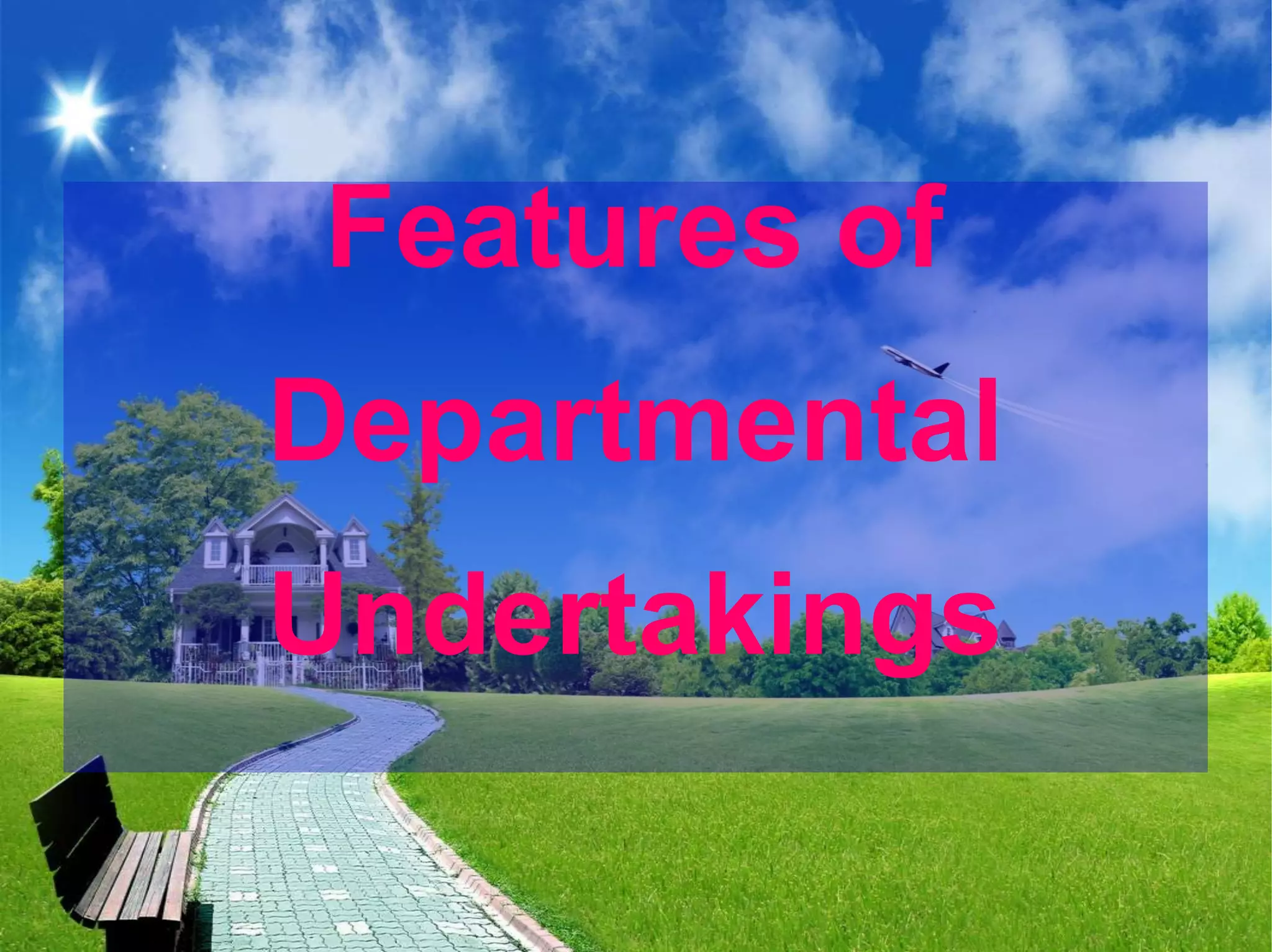 Features of
Departmental
Undertakings
 