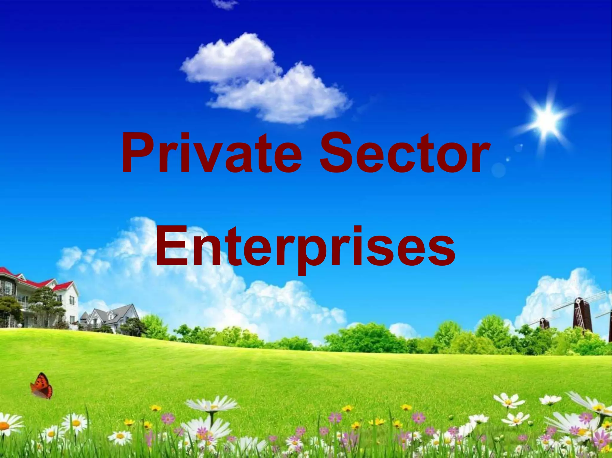 Private Sector
Enterprises
 