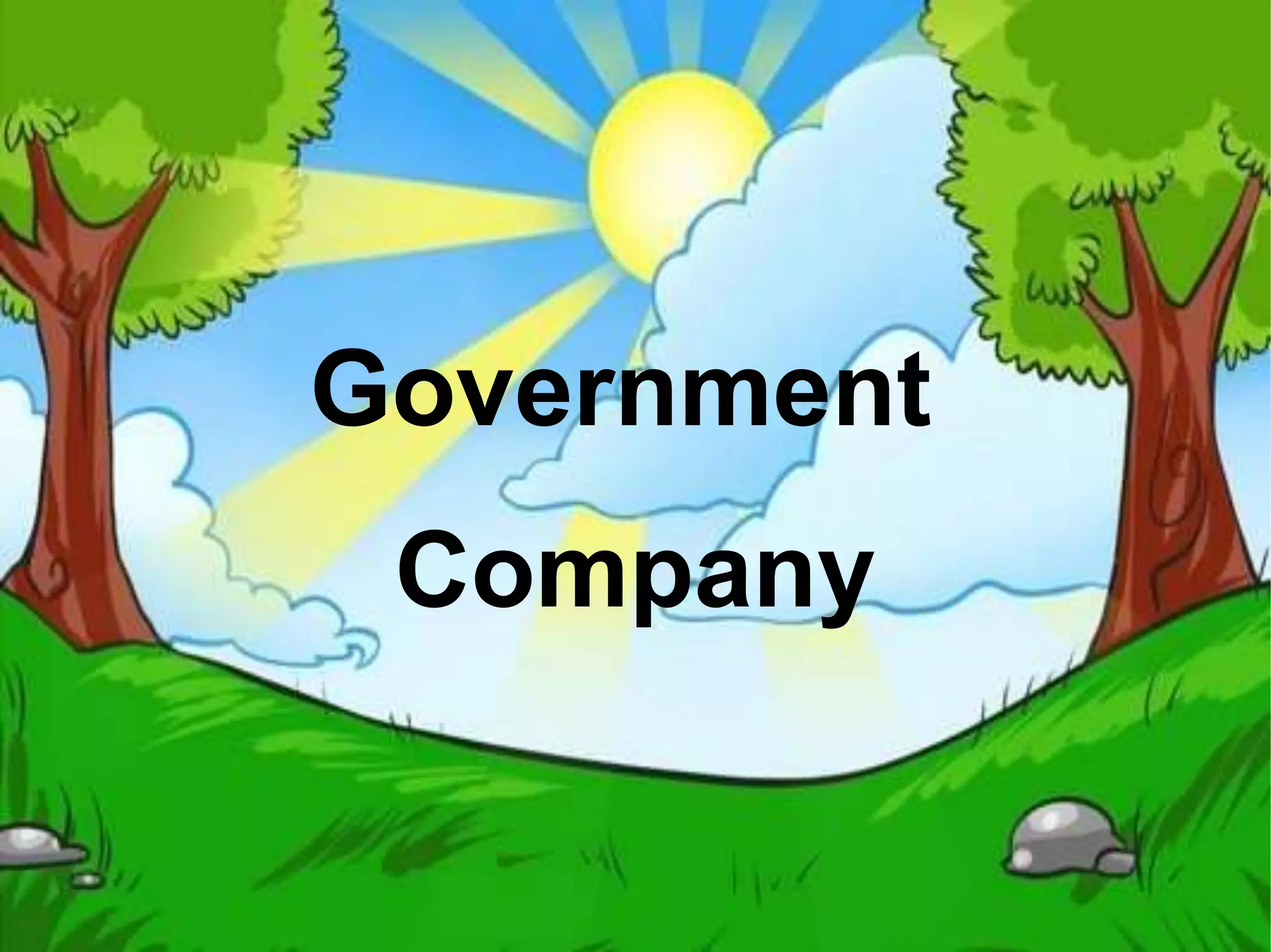 Government
Company
 