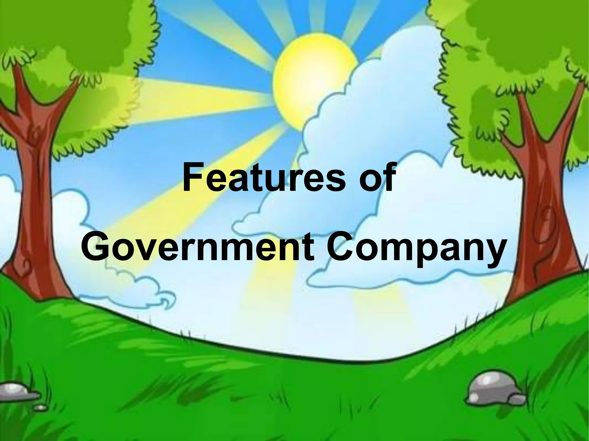 Features of
Government Company
 