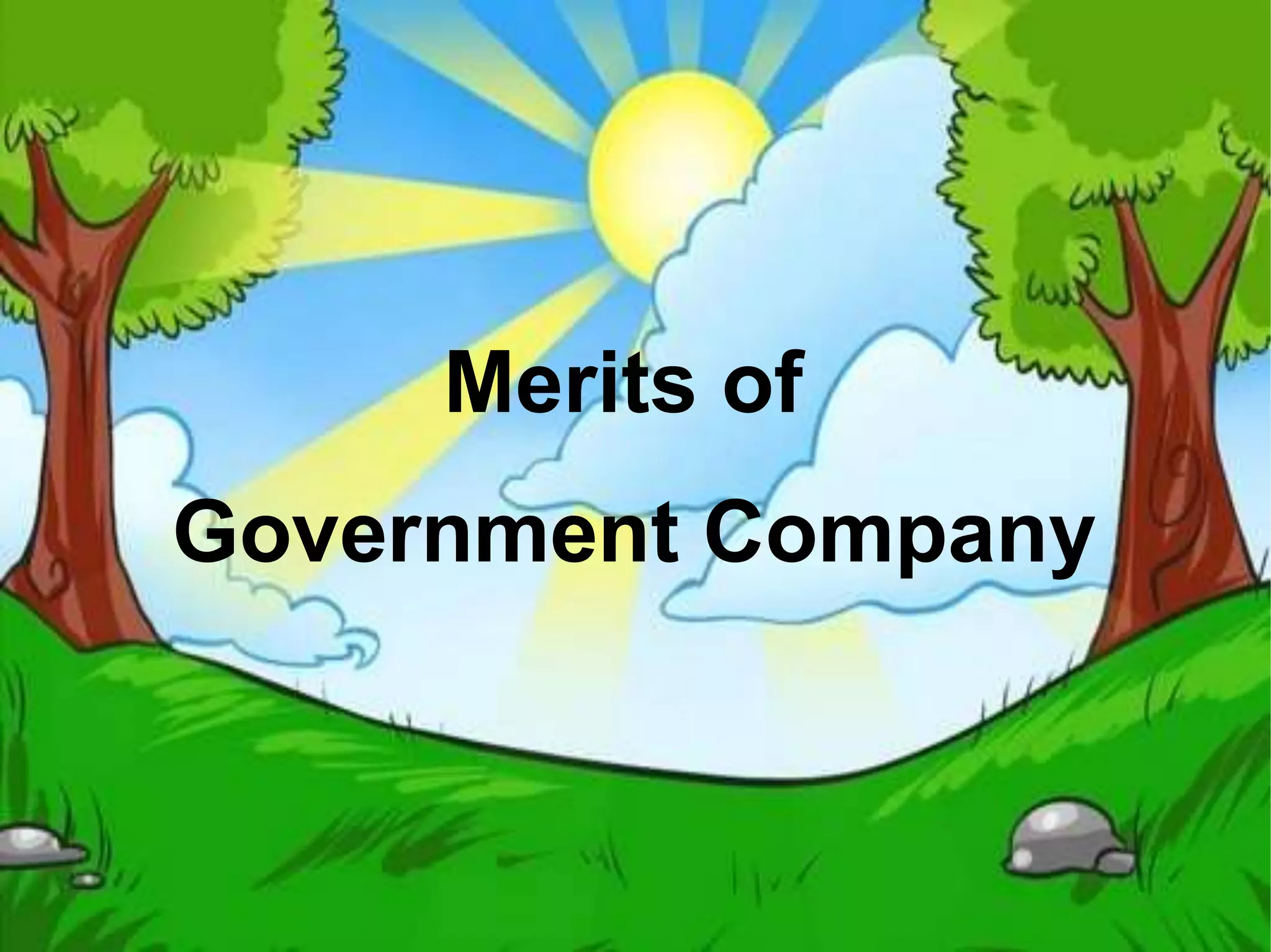 Merits of
Government Company
 