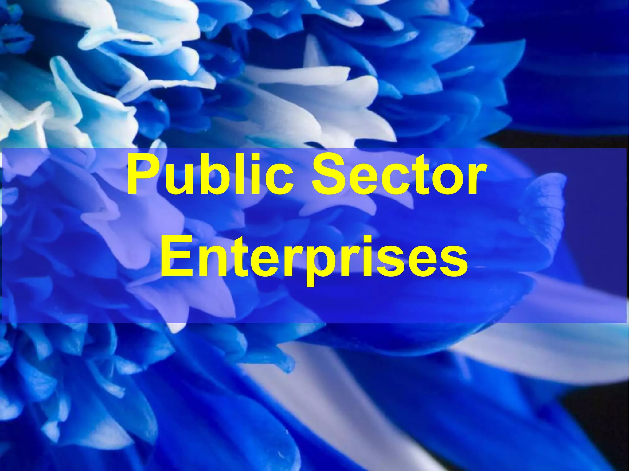 Public Sector
Enterprises
 
