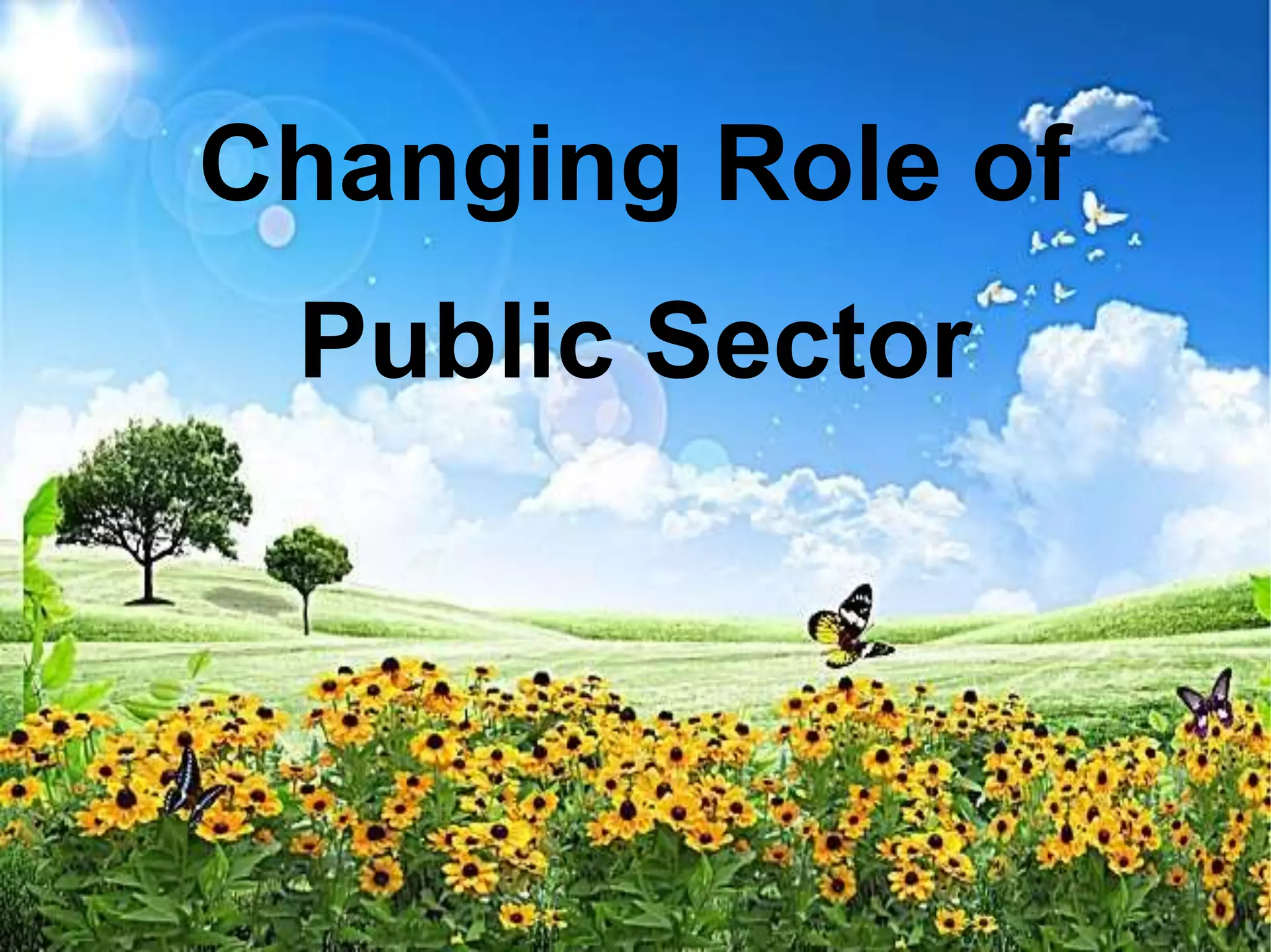 Changing Role of
Public Sector
 