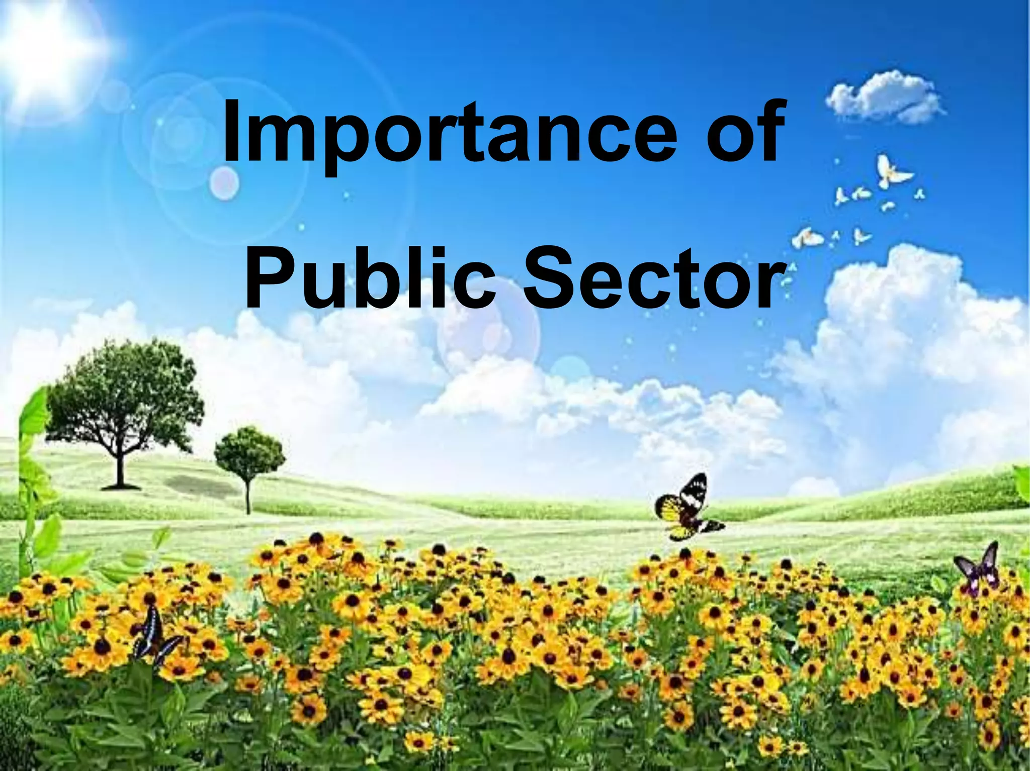 Importance of
Public Sector
 
