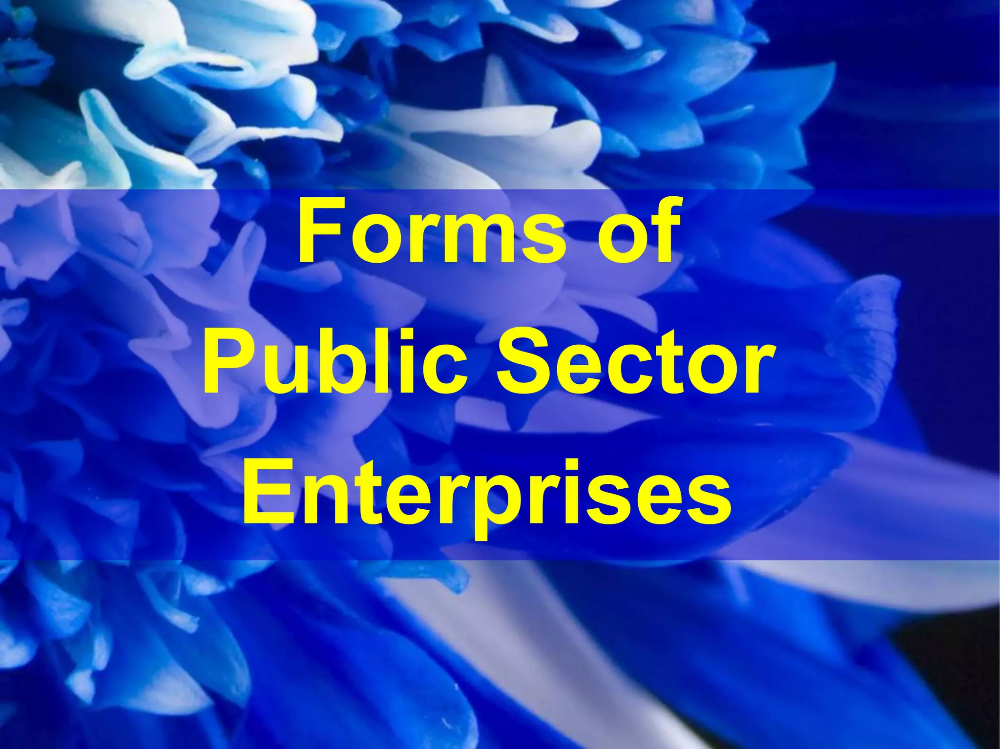 Forms of
Public Sector
Enterprises
 