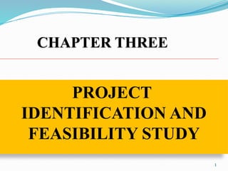 Comprehensive Guide to Project Identification and Feasibility Study in ...