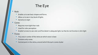 Eye Rods Color Table Chapter 3 psy | PPTX