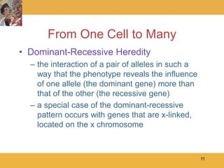 From One Cell to Many
• Dominant-Recessive Heredity
  – the interaction of a pair of alleles in such a
    way that the phenotype reveals the influence
    of one allele (the dominant gene) more than
    that of the other (the recessive gene)
  – a special case of the dominant-recessive
    pattern occurs with genes that are x-linked,
    located on the x chromosome



                                                     11
 