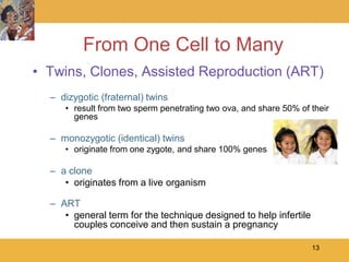 From One Cell to Many
• Twins, Clones, Assisted Reproduction (ART)
  – dizygotic (fraternal) twins
     • result from two sperm penetrating two ova, and share 50% of their
       genes

  – monozygotic (identical) twins
     • originate from one zygote, and share 100% genes

  – a clone
     • originates from a live organism

  – ART
     • general term for the technique designed to help infertile
       couples conceive and then sustain a pregnancy

                                                                   13
 