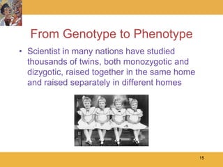 From Genotype to Phenotype
• Scientist in many nations have studied
  thousands of twins, both monozygotic and
  dizygotic, raised together in the same home
  and raised separately in different homes




                                                15
 