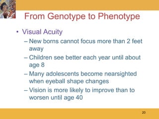 From Genotype to Phenotype
• Visual Acuity
  – New borns cannot focus more than 2 feet
    away
  – Children see better each year until about
    age 8
  – Many adolescents become nearsighted
    when eyeball shape changes
  – Vision is more likely to improve than to
    worsen until age 40

                                            20
 