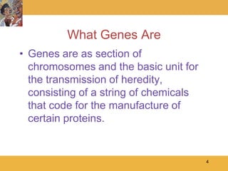 What Genes Are
• Genes are as section of
  chromosomes and the basic unit for
  the transmission of heredity,
  consisting of a string of chemicals
  that code for the manufacture of
  certain proteins.


                                        4
 