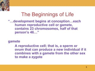 The Beginnings of Life
“…development begins at conception…each
   human reproductive cell or gamete,
   contains 23 chromosomes, half of that
   person’s 46…”

gamete
   A reproductive cell; that is, a sperm or
   ovum that can produce a new individual if it
   combines with a gamete from the other sex
   to make a zygote

                                              5
 