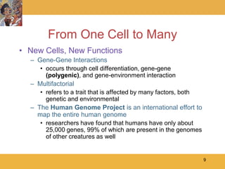 From One Cell to Many
• New Cells, New Functions
  – Gene-Gene Interactions
     • occurs through cell differentiation, gene-gene
       (polygenic), and gene-environment interaction
  – Multifactorial
     • refers to a trait that is affected by many factors, both
       genetic and environmental
  – The Human Genome Project is an international effort to
    map the entire human genome
     • researchers have found that humans have only about
       25,000 genes, 99% of which are present in the genomes
       of other creatures as well


                                                                  9
 