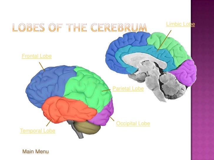 Report in Psychology-BTM 1-1D