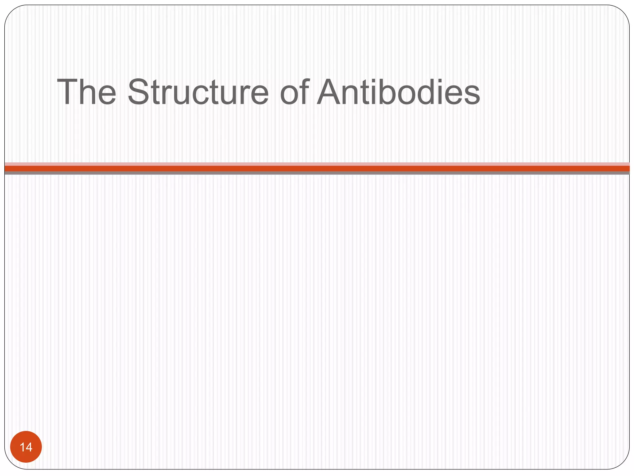 The Structure of Antibodies
14
 
