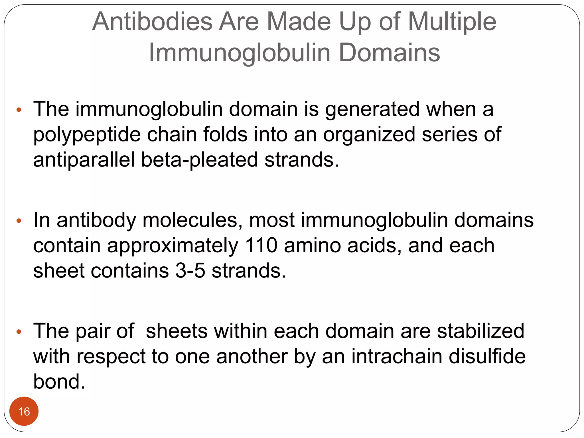 Antibodies Are Made Up of Multiple
Immunoglobulin Domains
• The immunoglobulin domain is generated when a
polypeptide chain folds into an organized series of
antiparallel beta-pleated strands.
• In antibody molecules, most immunoglobulin domains
contain approximately 110 amino acids, and each
sheet contains 3-5 strands.
• The pair of sheets within each domain are stabilized
with respect to one another by an intrachain disulfide
bond.
16
 