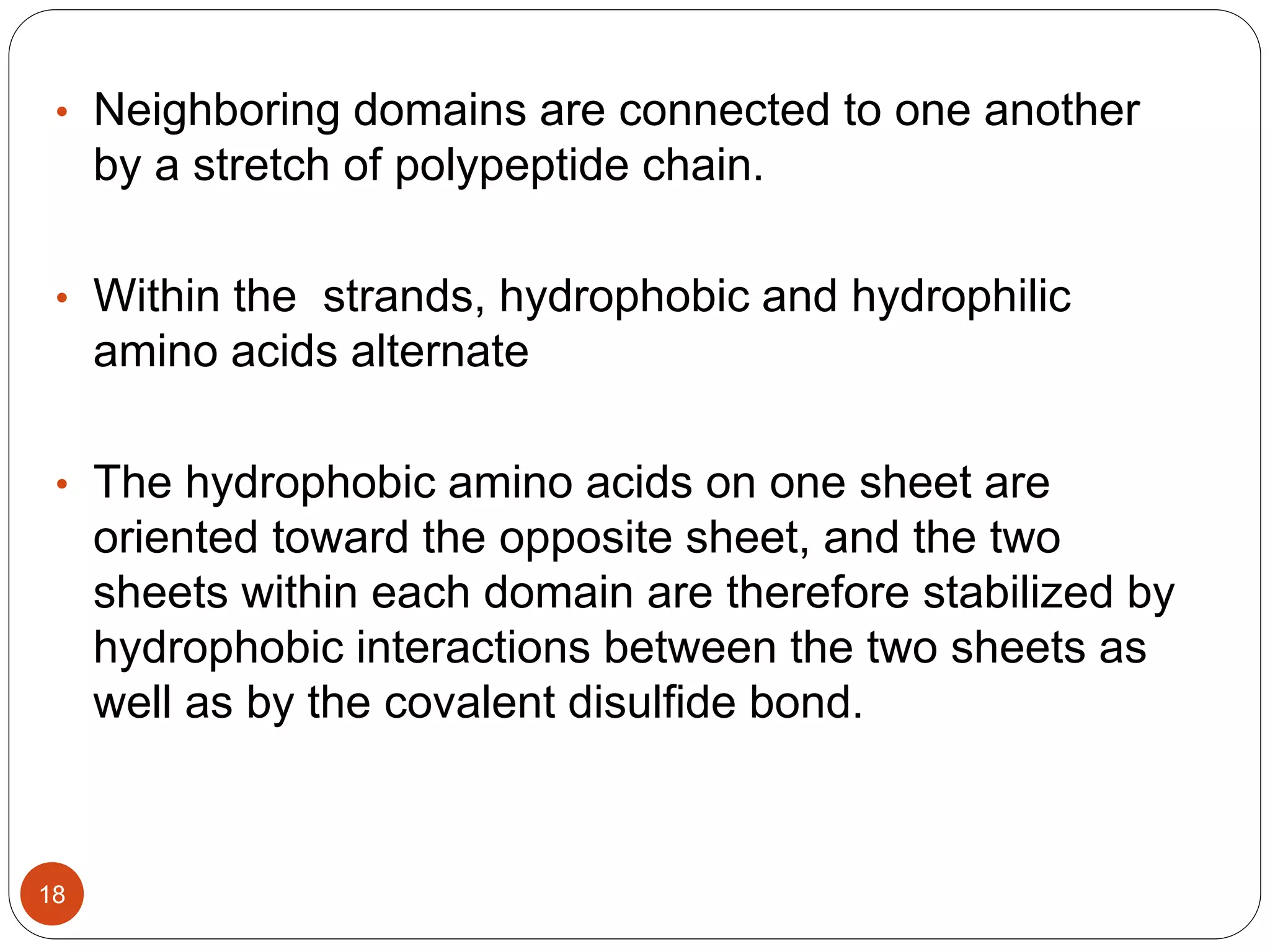 • Neighboring domains are connected to one another
by a stretch of polypeptide chain.
• Within the strands, hydrophobic and hydrophilic
amino acids alternate
• The hydrophobic amino acids on one sheet are
oriented toward the opposite sheet, and the two
sheets within each domain are therefore stabilized by
hydrophobic interactions between the two sheets as
well as by the covalent disulfide bond.
18
 