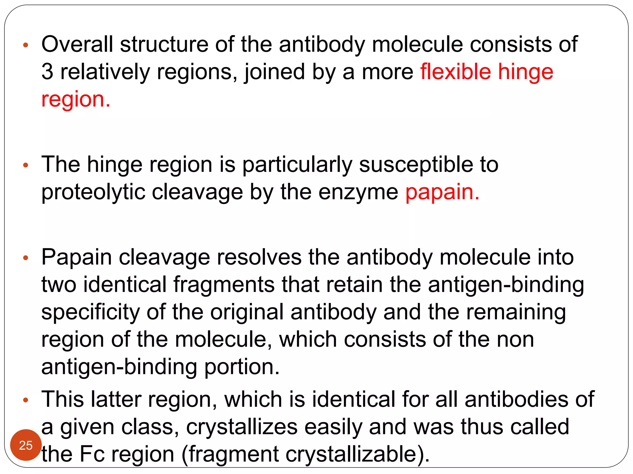 • Overall structure of the antibody molecule consists of
3 relatively regions, joined by a more flexible hinge
region.
• The hinge region is particularly susceptible to
proteolytic cleavage by the enzyme papain.
• Papain cleavage resolves the antibody molecule into
two identical fragments that retain the antigen-binding
specificity of the original antibody and the remaining
region of the molecule, which consists of the non
antigen-binding portion.
• This latter region, which is identical for all antibodies of
a given class, crystallizes easily and was thus called
the Fc region (fragment crystallizable).
25
 