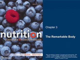 Chapter 3
The Remarkable Body
Sizer and Whitney, Nutrition: Concepts and Controversies, 15th
Edition. © 2020 Cengage. All Rights Reserved. May not be
scanned, copied or duplicated, or posted to a publicly accessible
website, in whole or in part.
 