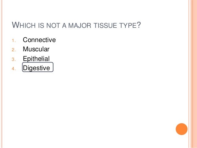 Chapter 3 Anatomy Review Questions