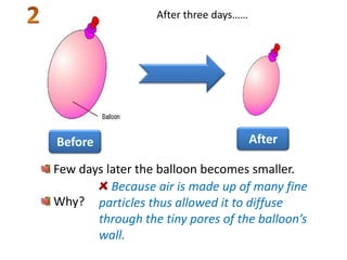 After three days……

Before

After

Few days later the balloon becomes smaller.
Because air is made up of many fine
Why? particles thus allowed it to diffuse
through the tiny pores of the balloon’s
wall.

 