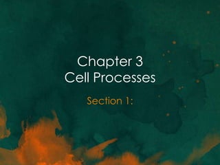 Chapter 3
Cell Processes
   Section 1:
 